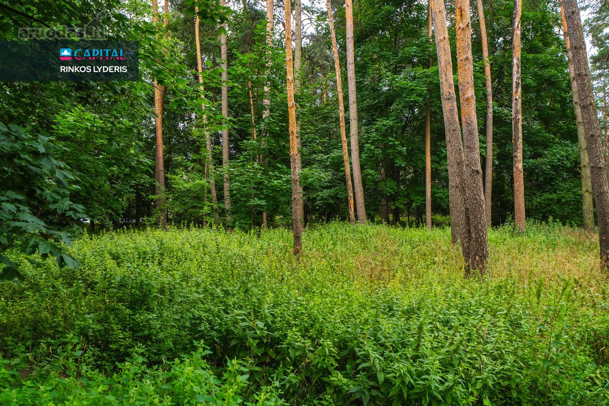 Parduodamas erdvus 4 kambarių butas Vilniuje, - nuotraukos Nr. 20