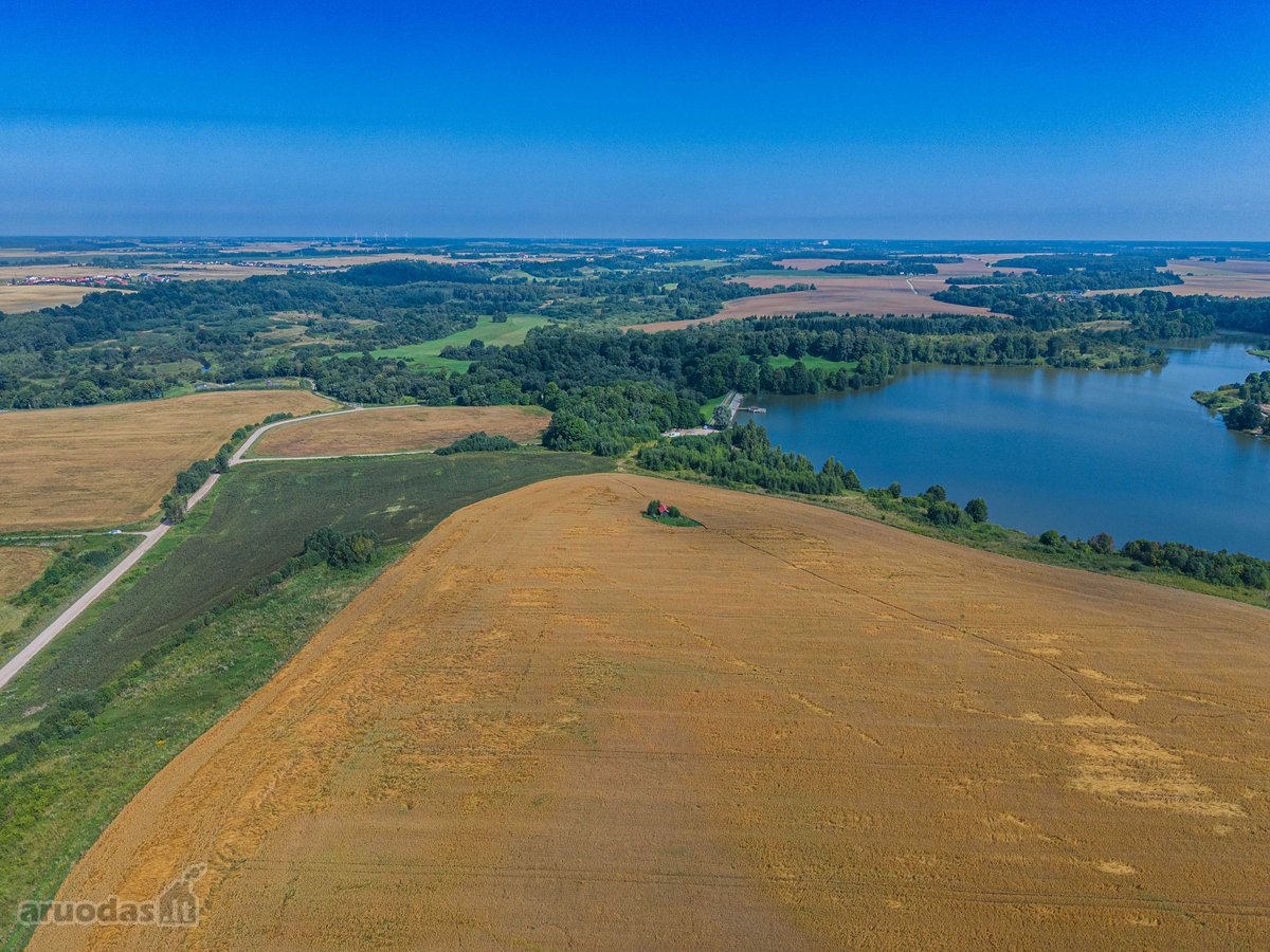 Parduodamas 3,18 Ha Sklypas Išskirtinėje - nuotraukos Nr. 7