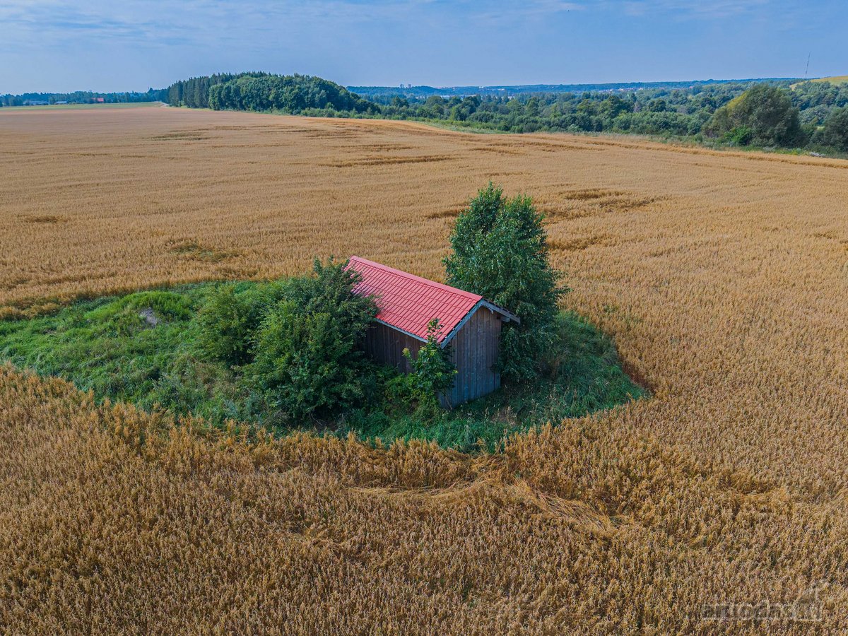 Parduodamas 3,18 Ha Sklypas Išskirtinėje - nuotraukos Nr. 6