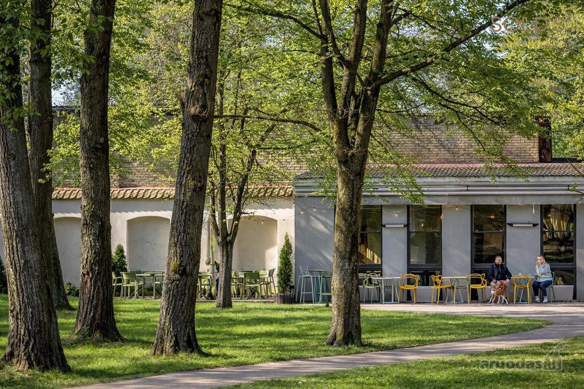 Filaretų gatvės pabaigoje, apsuptas brandaus - nuotraukos Nr. 23
