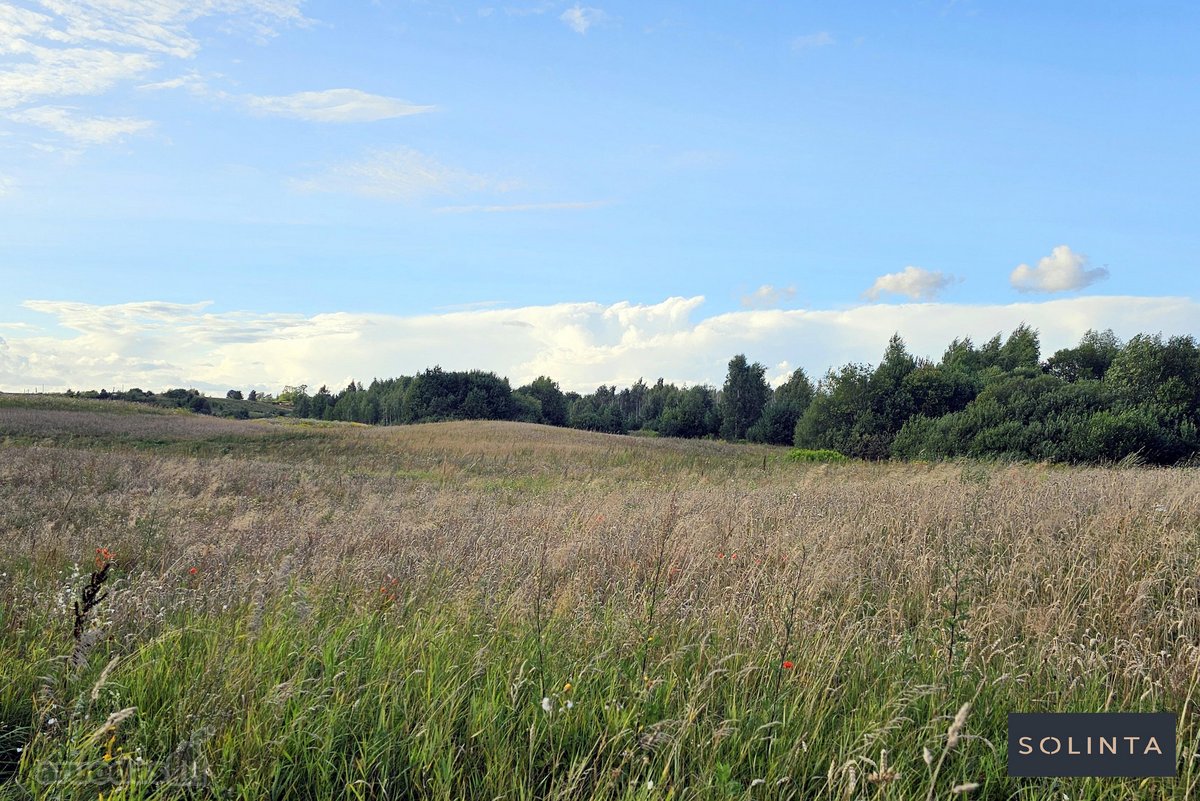 Parduodamas erdvus 1,3 ha žemės ūkio - nuotraukos Nr. 11
