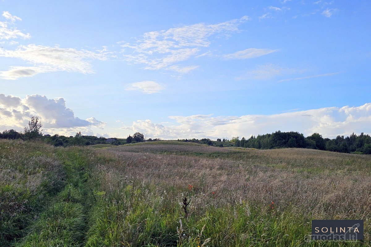 Parduodamas erdvus 1,3 ha žemės ūkio - nuotraukos Nr. 12