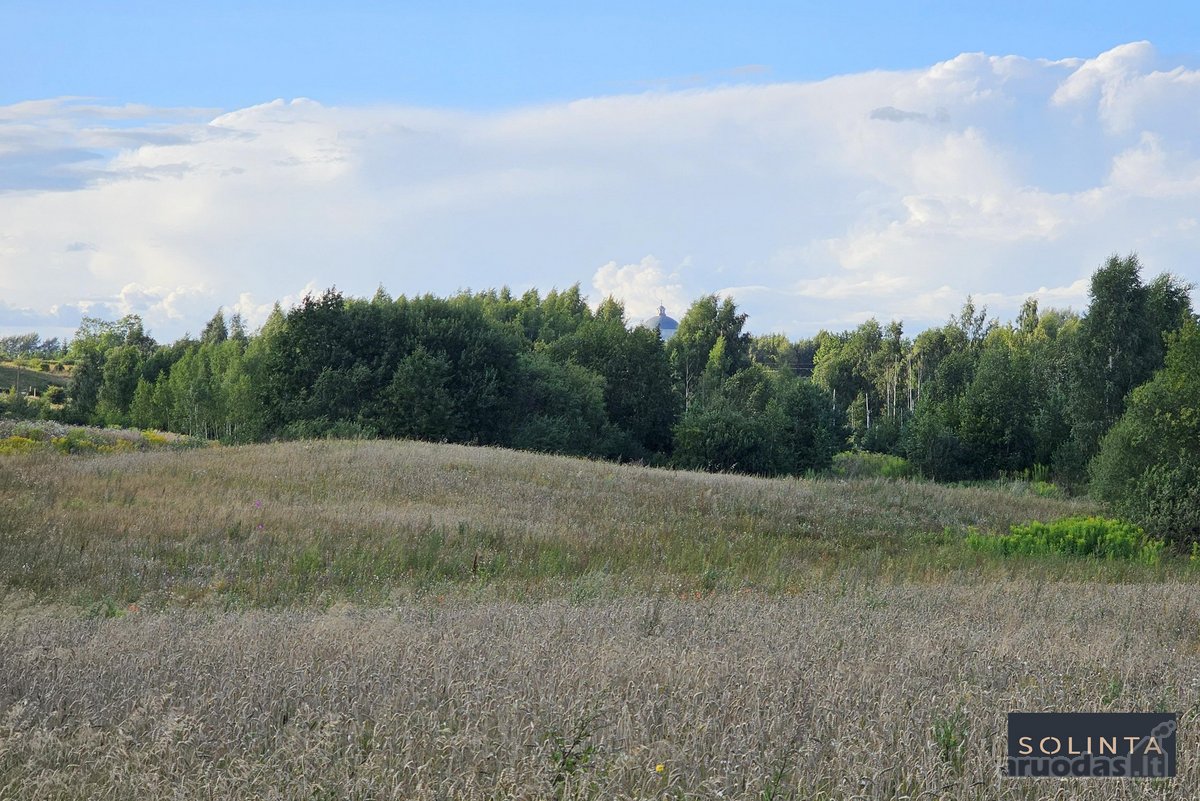Parduodamas erdvus 1,3 ha žemės ūkio - nuotraukos Nr. 10