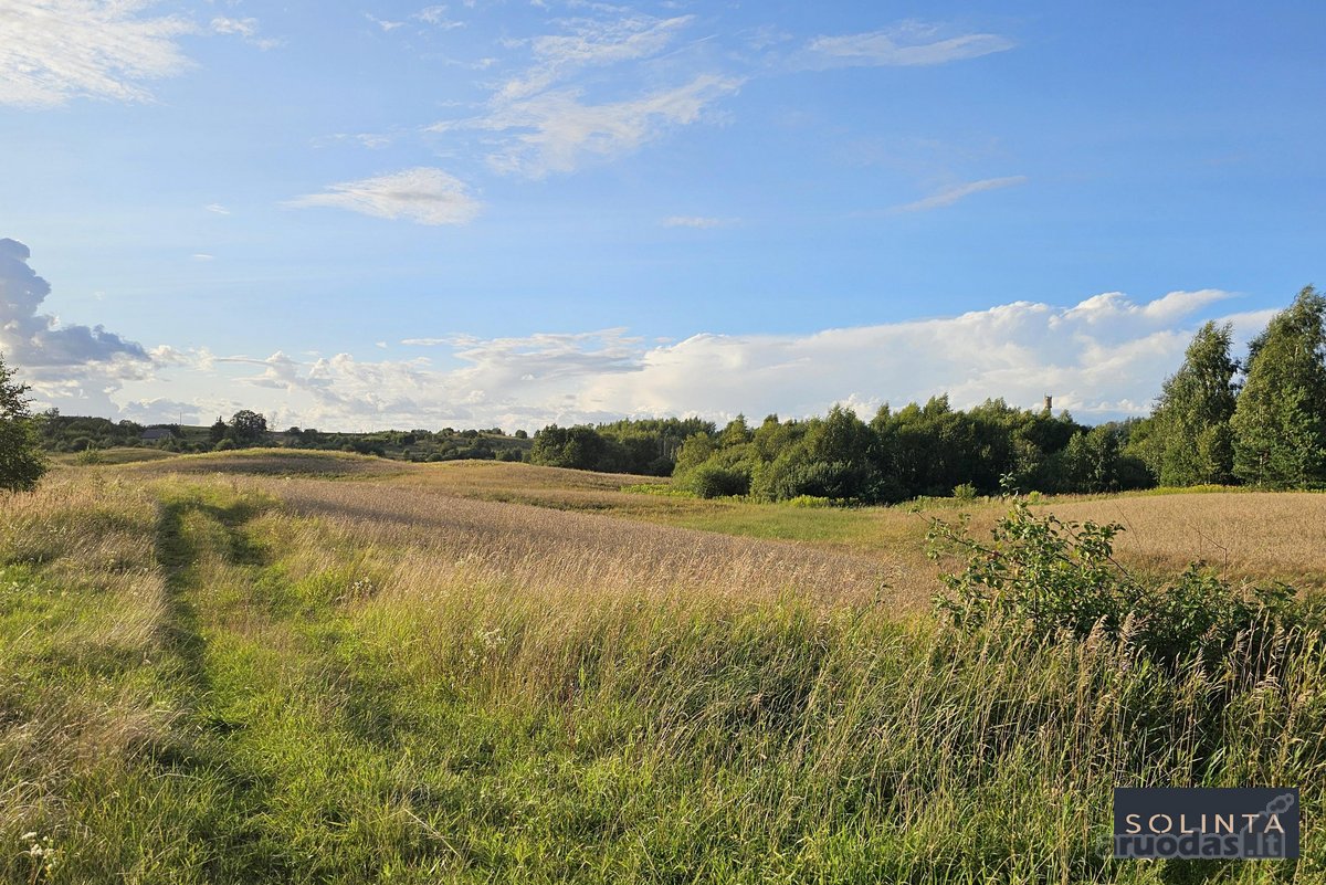Parduodamas erdvus 1,3 ha žemės ūkio - nuotraukos Nr. 9