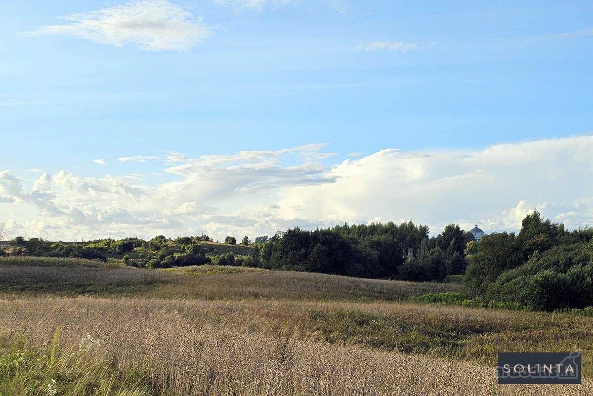 Parduodamas erdvus 1,3 ha žemės ūkio - nuotraukos Nr. 14