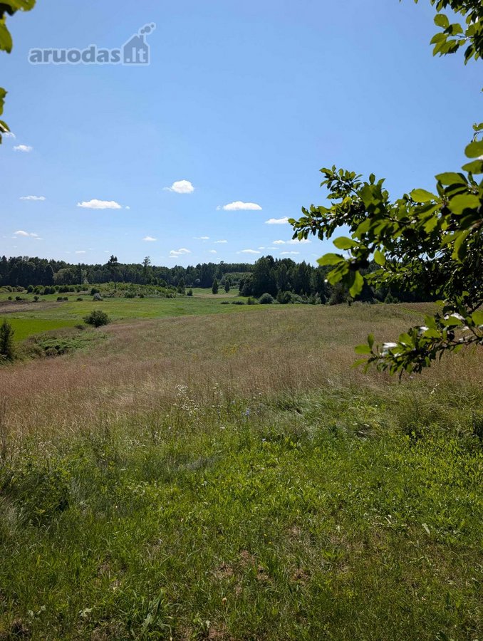 Lazdijų rajone, Paliūnų kaime, Beržų g.20 ir - nuotraukos Nr. 30