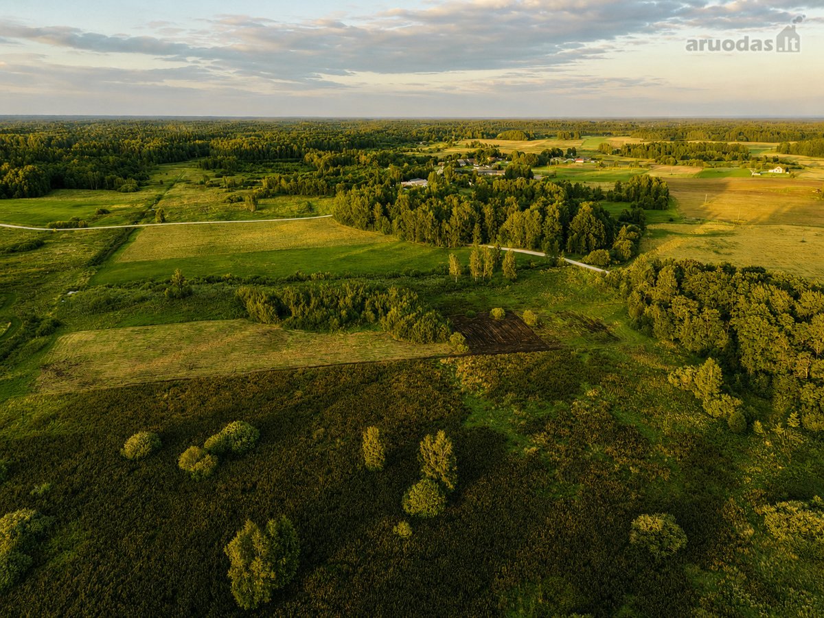 Parduodamas 1,55 Ha Žemės Ūkio Paskirties - nuotraukos Nr. 5