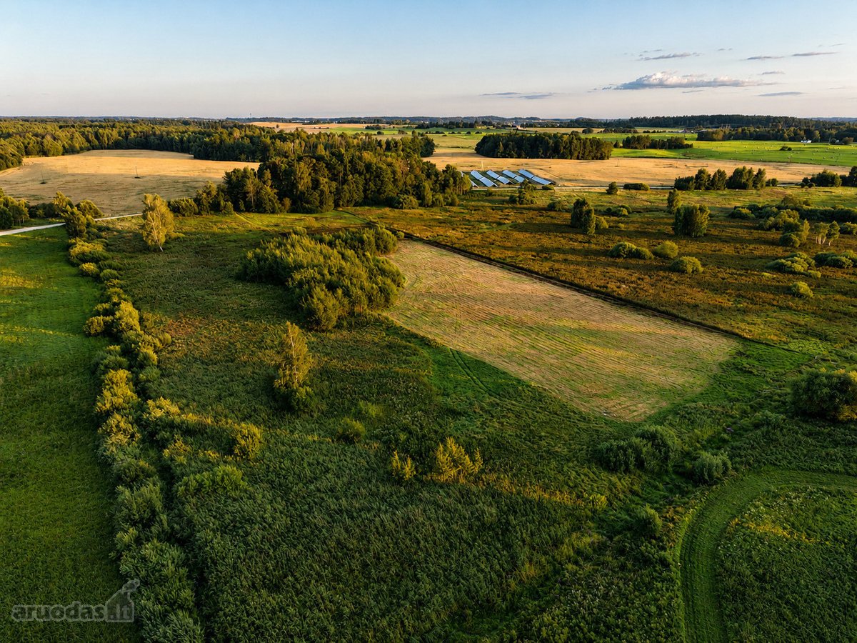Parduodamas 1,55 Ha Žemės Ūkio Paskirties - nuotraukos Nr. 3