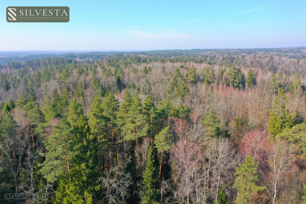 Parduodamas Miškų ūkio paskirties sklypas - nuotraukos Nr. 2