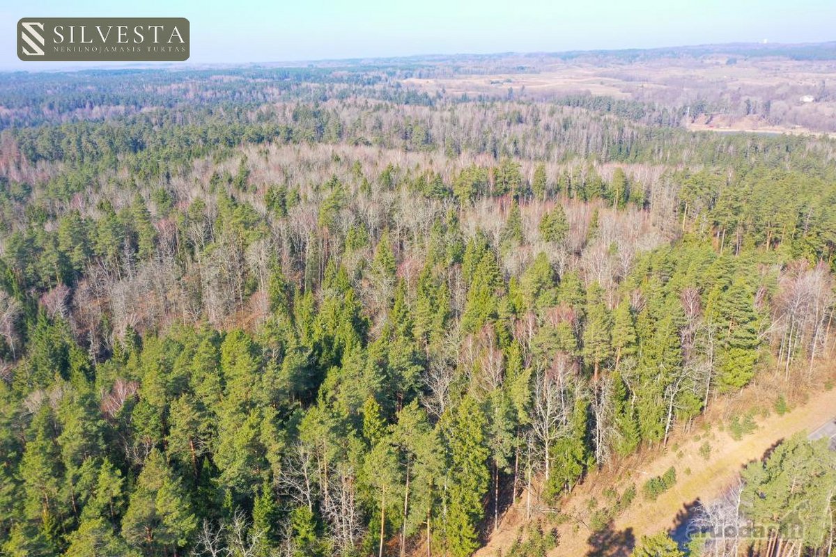 Parduodamas Miškų ūkio paskirties sklypas - nuotraukos Nr. 3