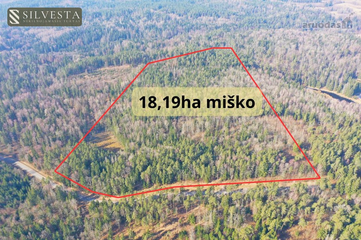Parduodamas Miškų ūkio paskirties sklypas - nuotraukos Nr. 4