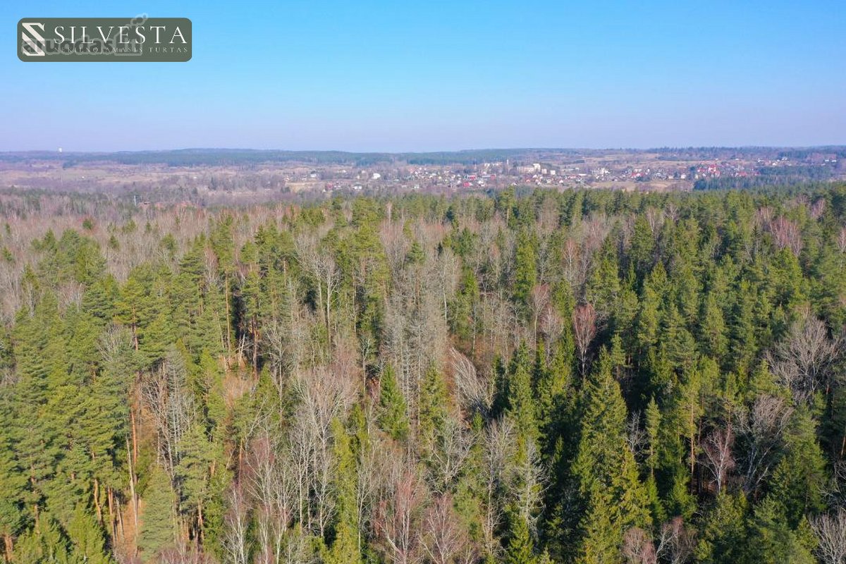 Parduodamas Miškų ūkio paskirties sklypas - nuotraukos Nr. 7