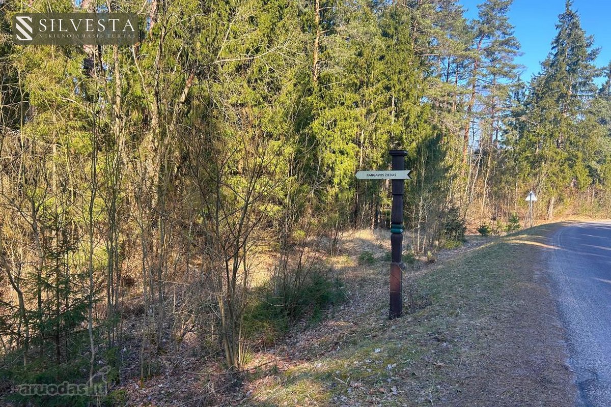 Parduodamas Miškų ūkio paskirties sklypas - nuotraukos Nr. 9