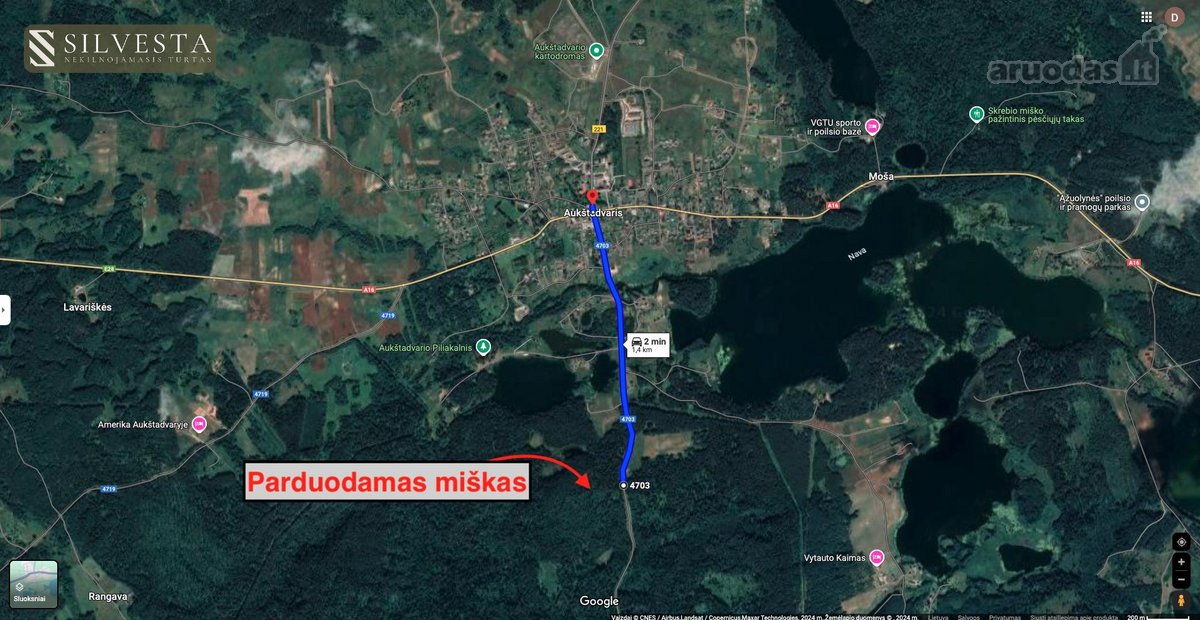 Parduodamas Miškų ūkio paskirties sklypas - nuotraukos Nr. 13