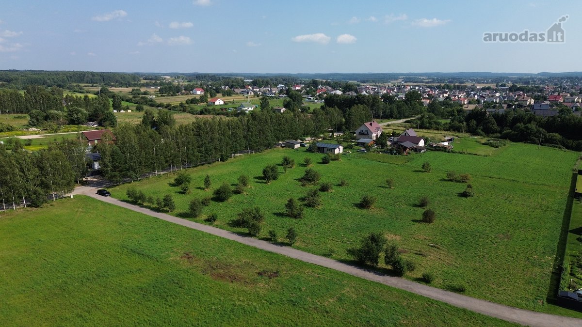 Parduodami namų valdos sklypai Rudaminoje. - nuotraukos Nr. 8