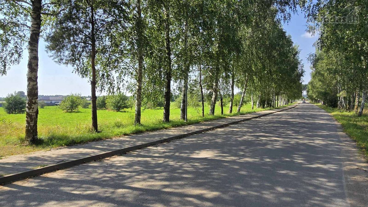 Parduodami namų valdos sklypai Rudaminoje. - nuotraukos Nr. 10