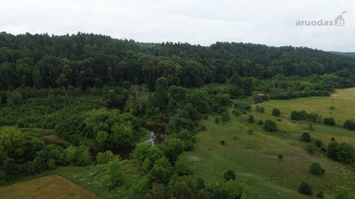 Parduodamas sklypas vaizdingoje Kelmės rajono - nuotraukos Nr. 16