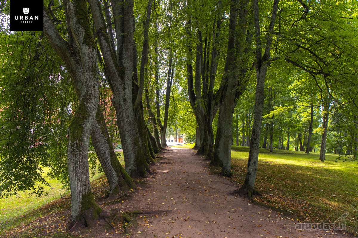 Erdvus Ir Tvarkingas 2 Kambarių Butas Alantos - nuotraukos Nr. 24