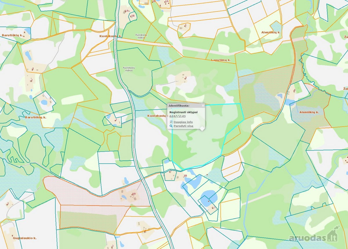 Parduodamas 11,6 ha žemės sklypas Molėtų r. - nuotraukos Nr. 3