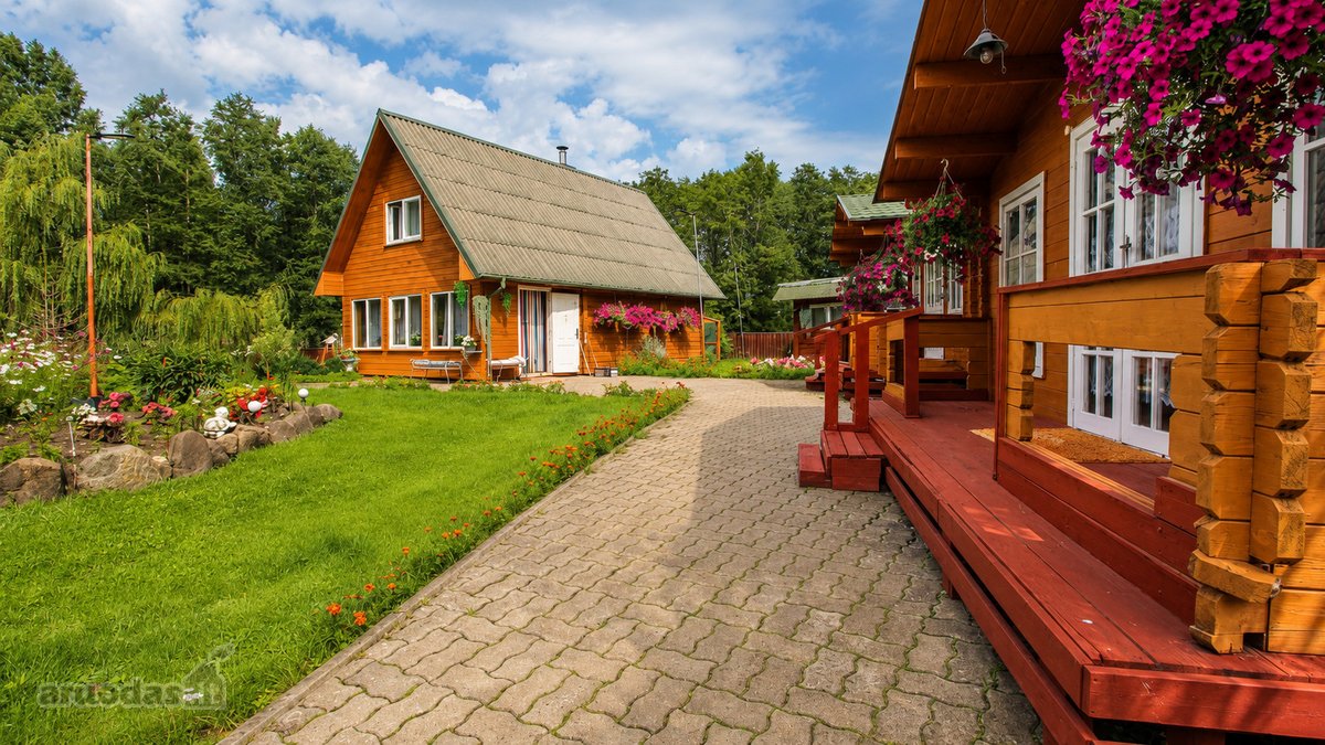 Čia nėra miesto triukšmo, langų prieš langus - nuotraukos Nr. 3