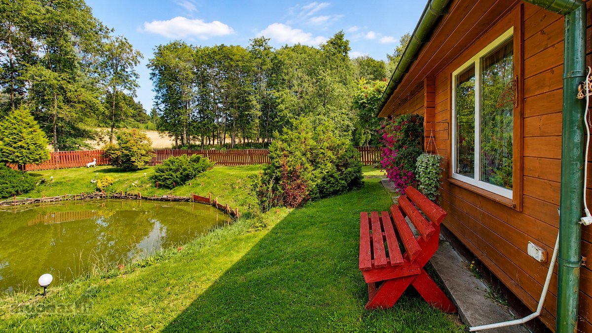 Čia nėra miesto triukšmo, langų prieš langus - nuotraukos Nr. 11