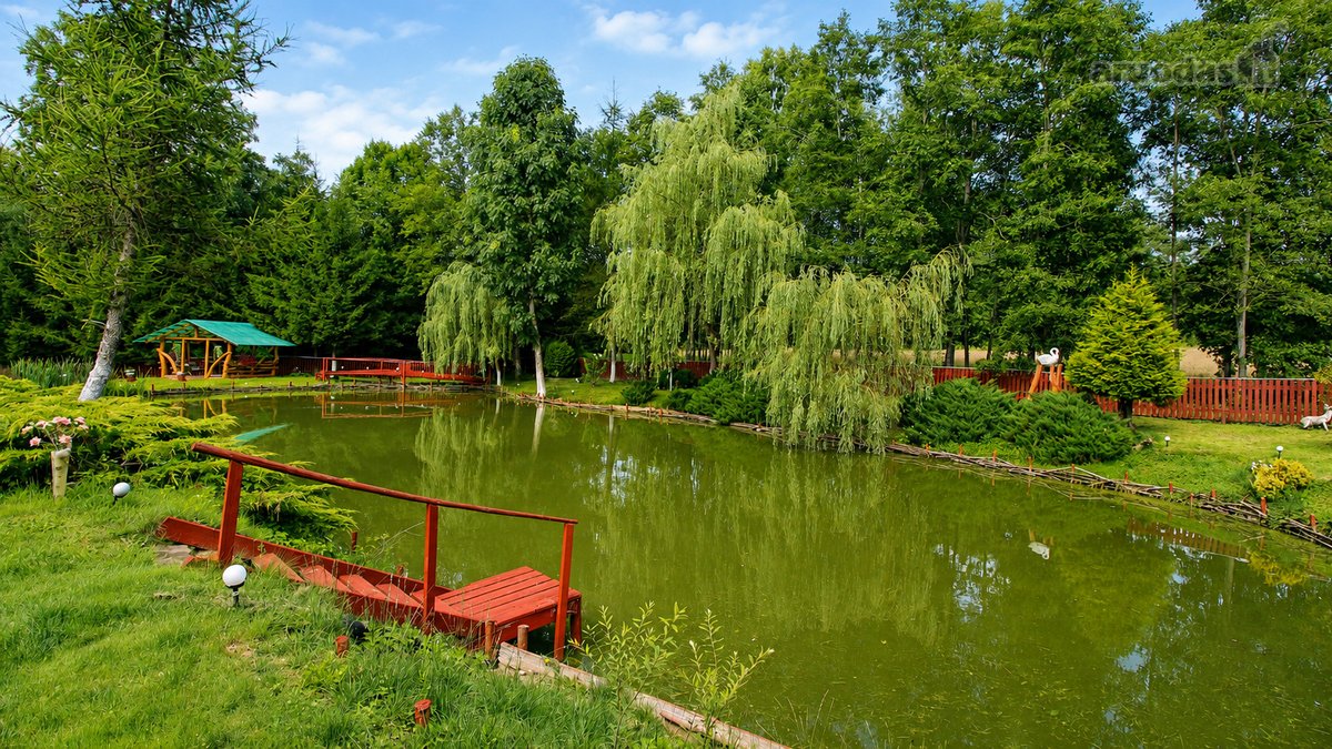 Čia nėra miesto triukšmo, langų prieš langus - nuotraukos Nr. 13