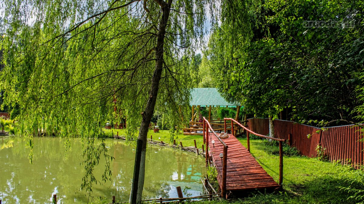 Čia nėra miesto triukšmo, langų prieš langus - nuotraukos Nr. 15