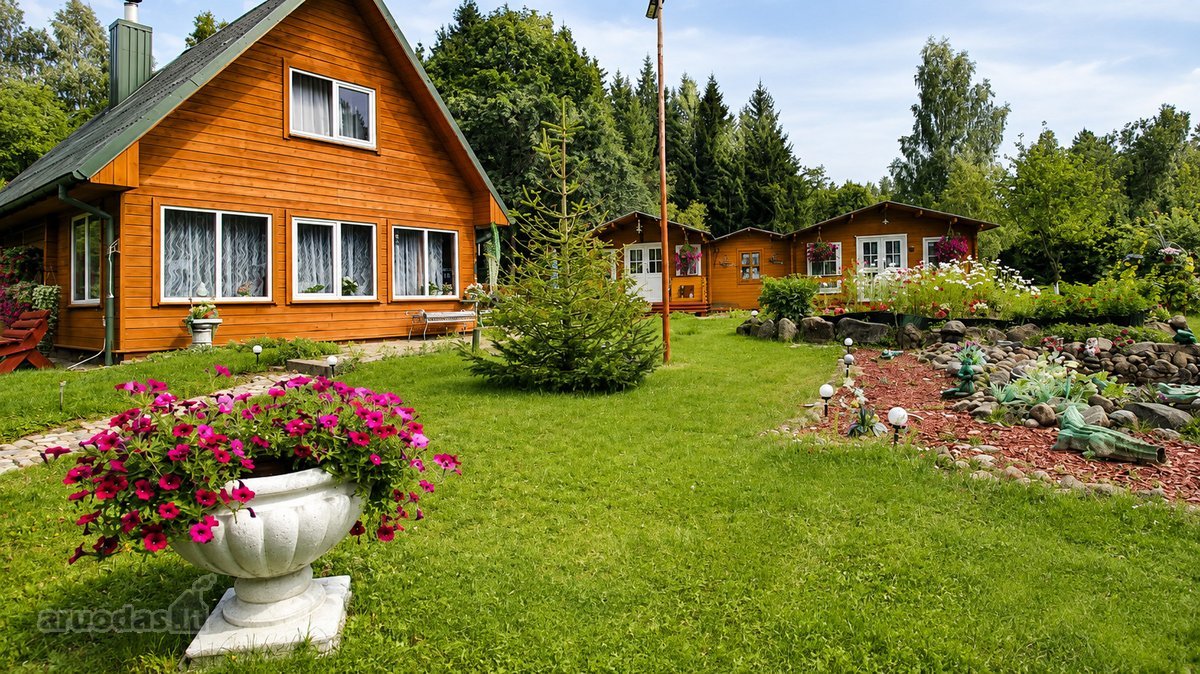 Čia nėra miesto triukšmo, langų prieš langus - nuotraukos Nr. 20