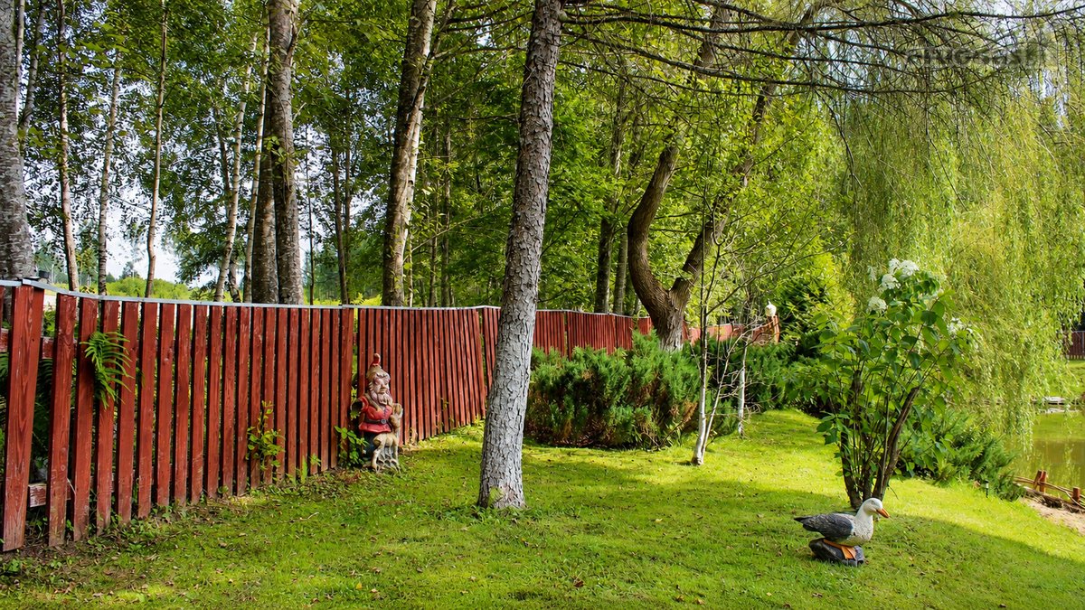 Čia nėra miesto triukšmo, langų prieš langus - nuotraukos Nr. 26