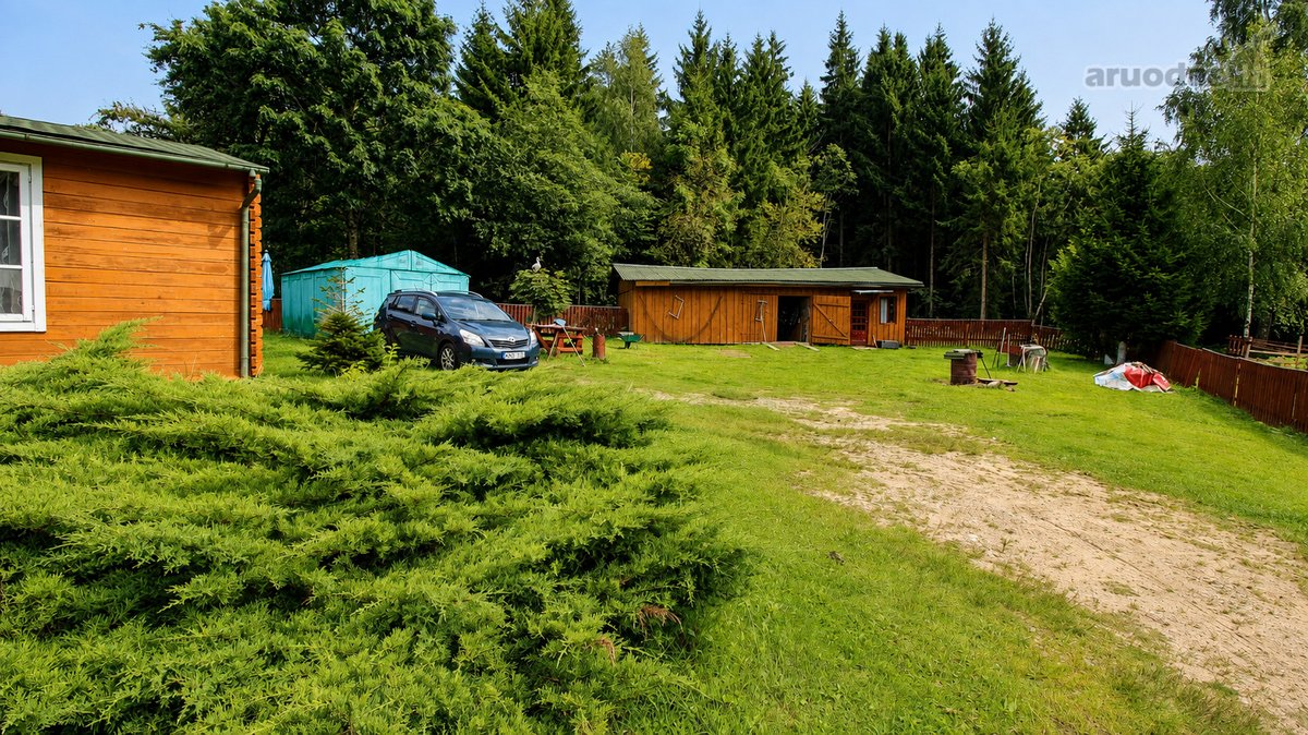 Čia nėra miesto triukšmo, langų prieš langus - nuotraukos Nr. 28