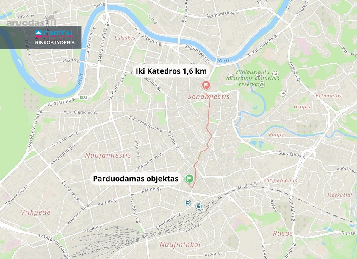 Unikulus Ir Perspektyvus Pasirinkimas - nuotraukos Nr. 31