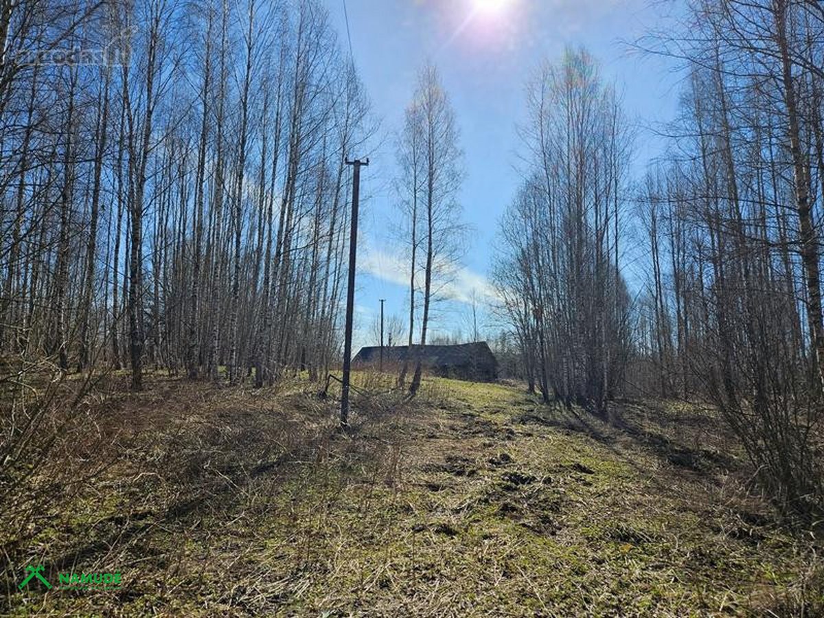 Parduodamas 10,77 ha žemės ūkio paskirties - nuotraukos Nr. 2