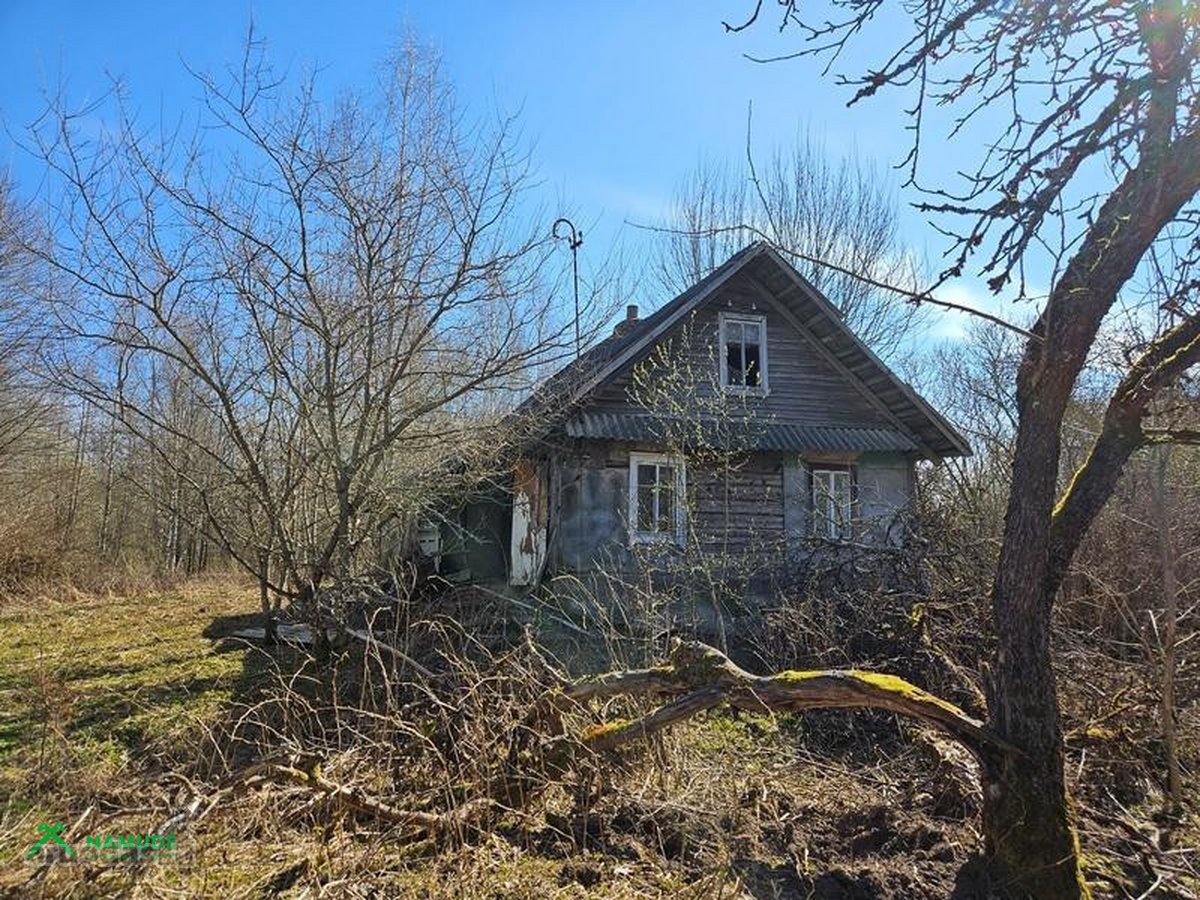 Parduodamas 10,77 ha žemės ūkio paskirties - nuotraukos Nr. 4