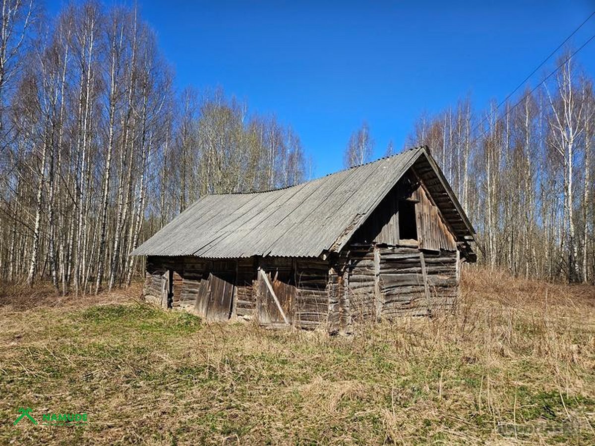 Parduodamas 10,77 ha žemės ūkio paskirties - nuotraukos Nr. 7