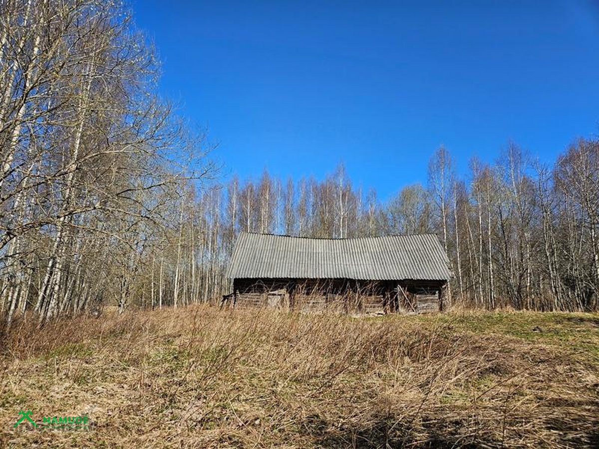 Parduodamas 10,77 ha žemės ūkio paskirties - nuotraukos Nr. 8