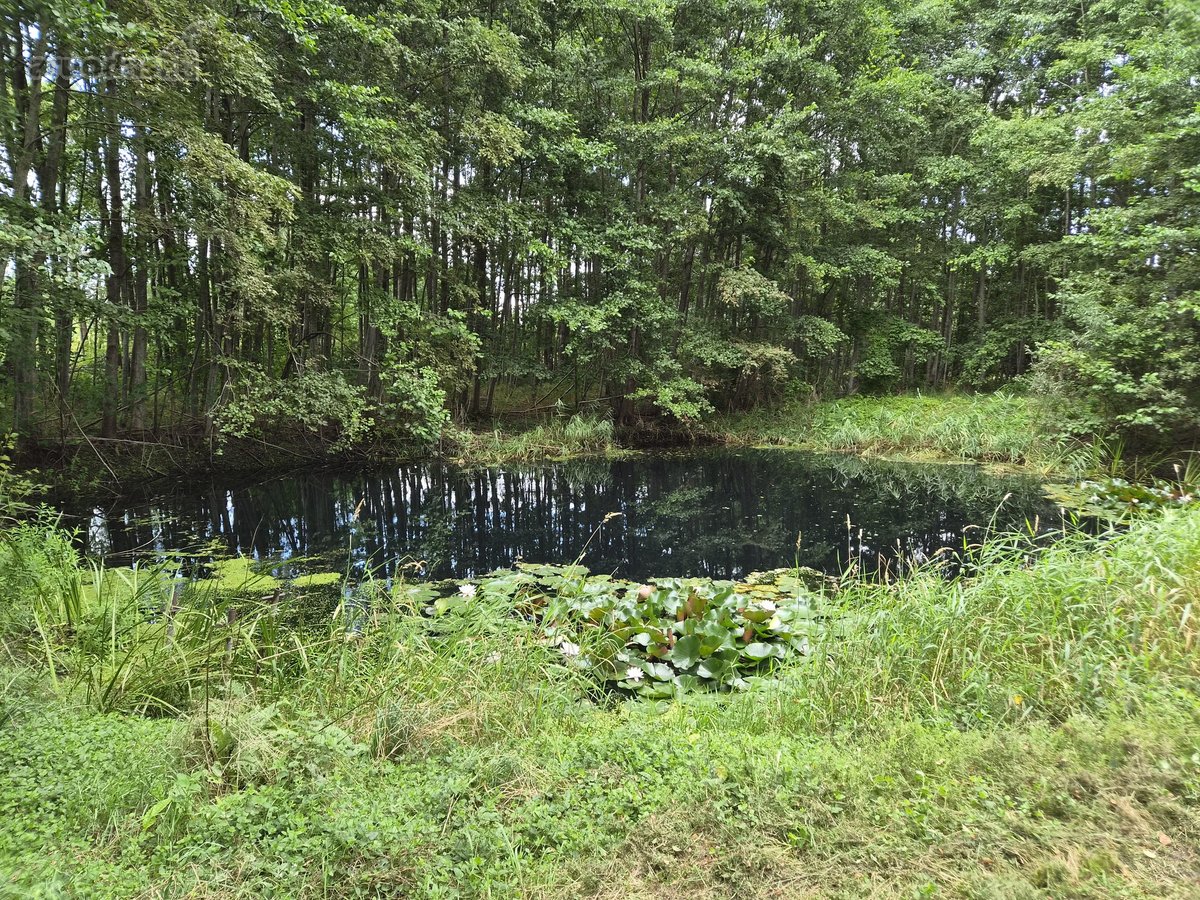 Parduodama sodyba su 5 ha sklypu – 0.39 ha - nuotraukos Nr. 15