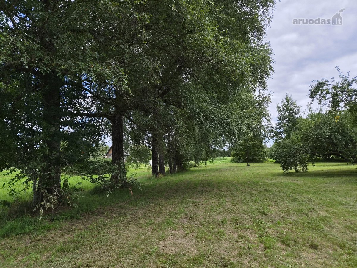 Parduodama sodyba su 5 ha sklypu – 0.39 ha - nuotraukos Nr. 17