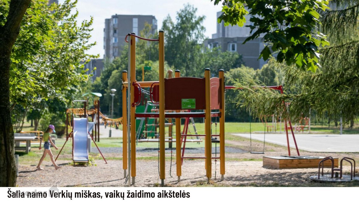 Jaukiai įrengtas vieno kambario butas - nuotraukos Nr. 10