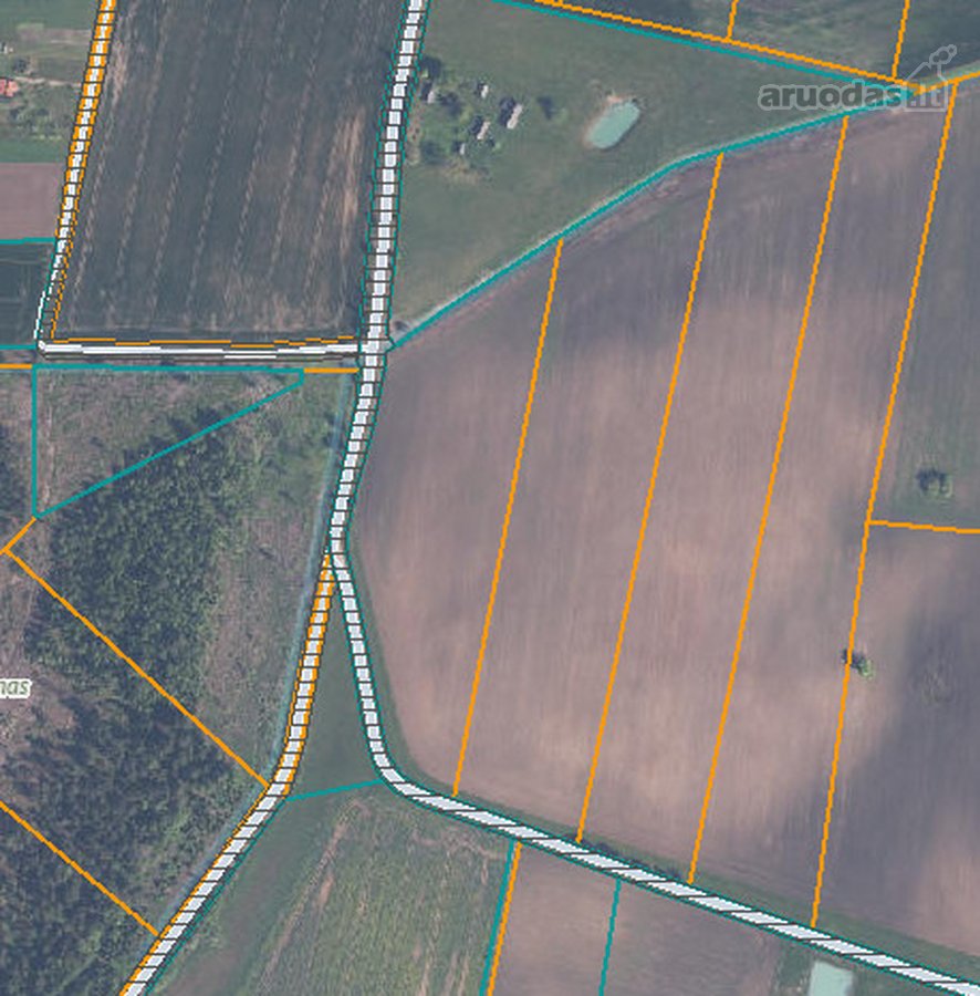 ? Parduodamas 3,19 ha žemės ūkio paskirties - nuotraukos Nr. 2