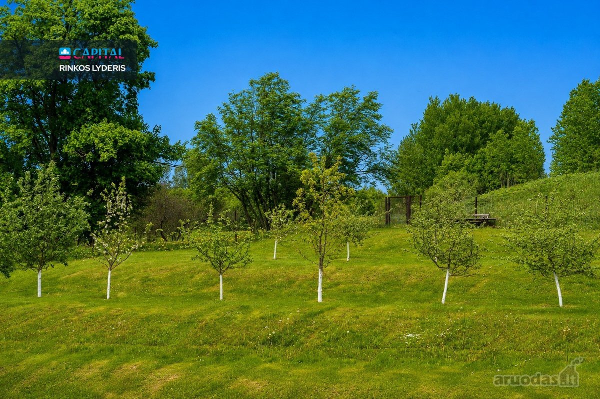Mėgstate būti gamtoje? Mėgautis pirties bei - nuotraukos Nr. 27