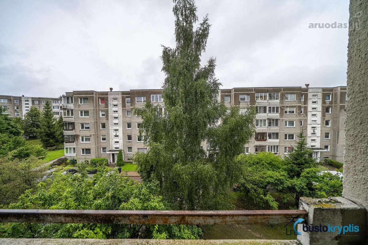 Parduodamas puikios būklės vieno kambario - nuotraukos Nr. 25