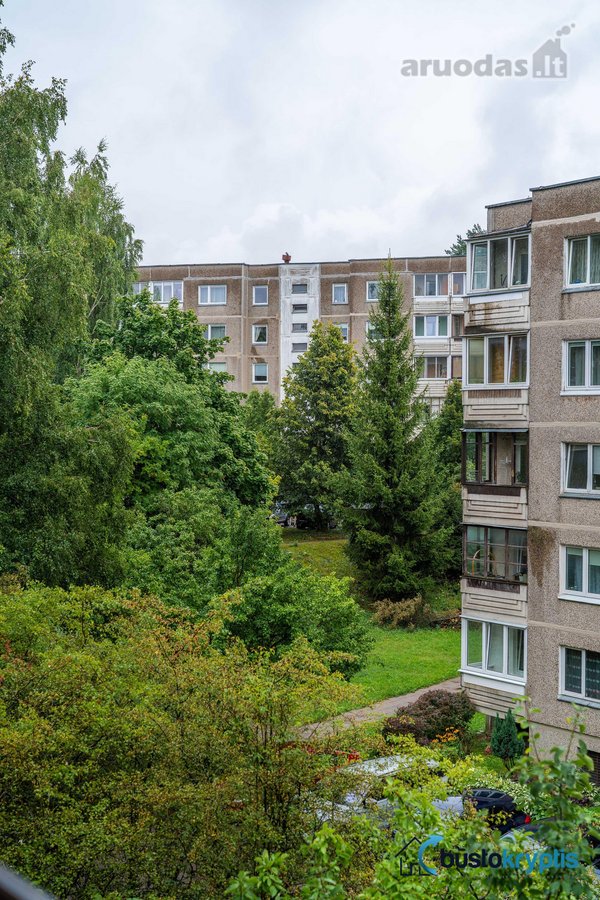 Parduodamas puikios būklės vieno kambario - nuotraukos Nr. 28