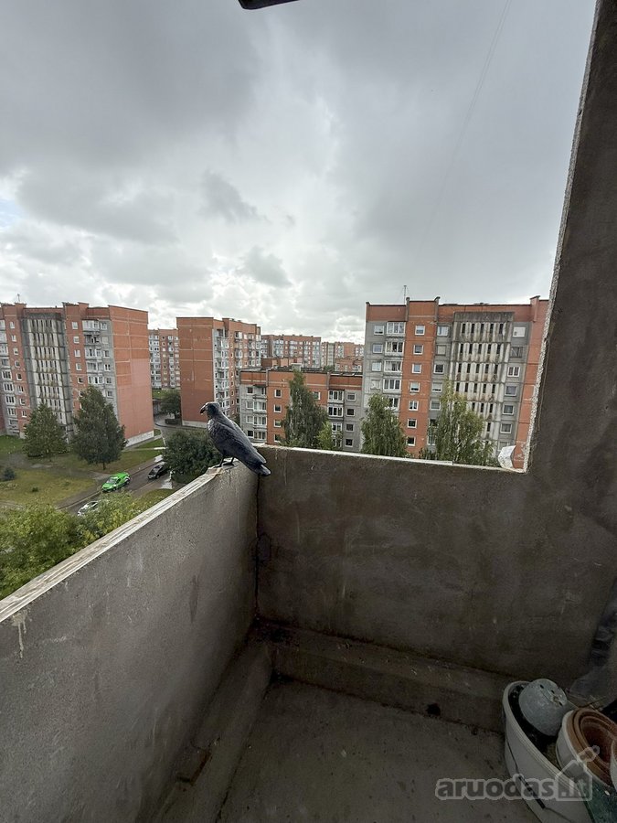 Parduodamas Erdvus 3 Kambarių Butas - nuotraukos Nr. 12