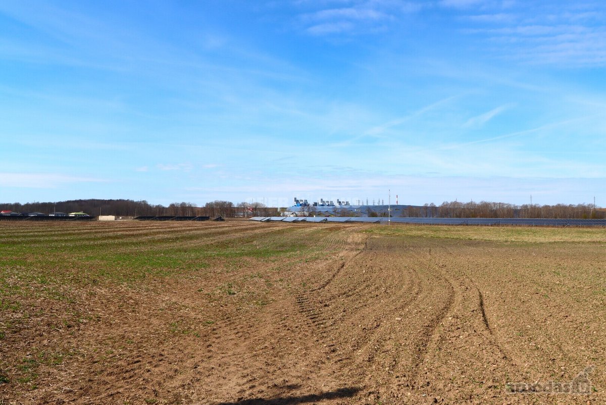 Parduodamas 2,16 ha žemės sklypas Rimkų k., - nuotraukos Nr. 3