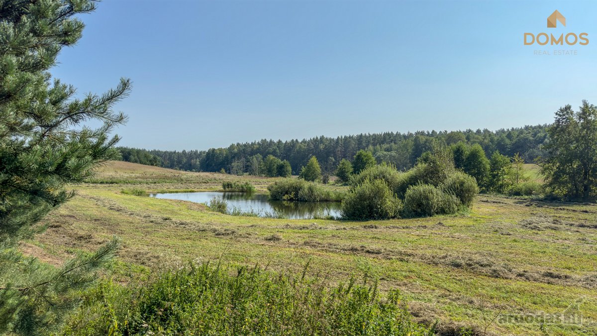 Parduodamas erdvus 7.73 ha ploto sklypas - nuotraukos Nr. 2