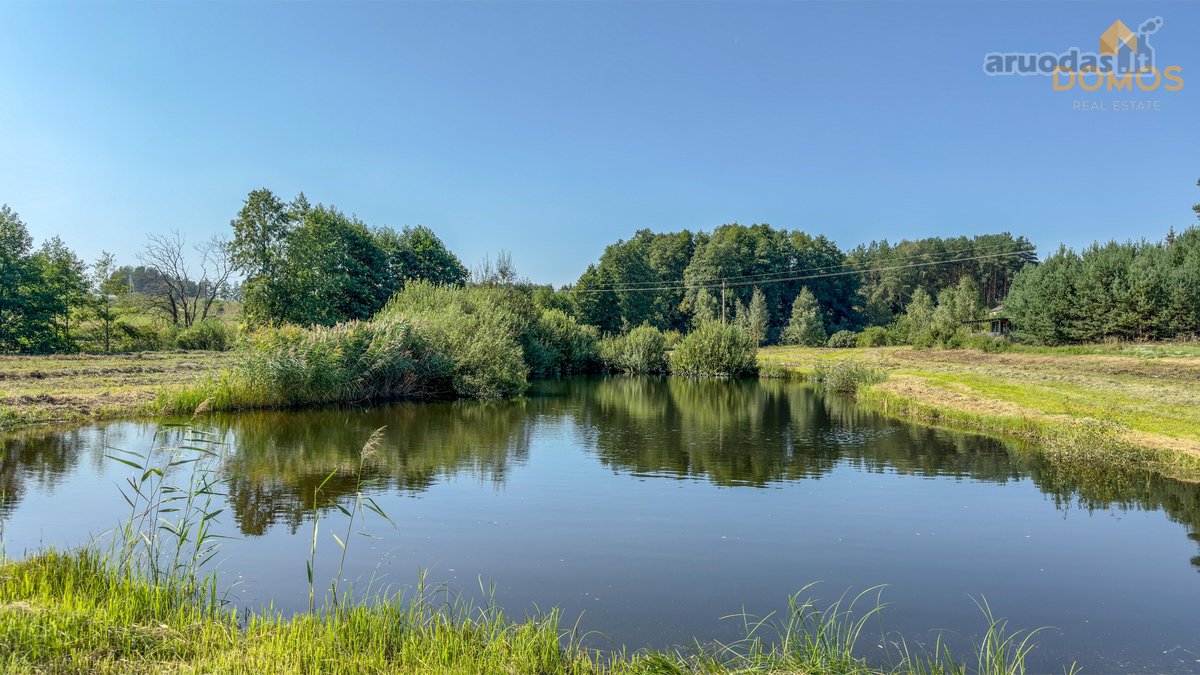 Parduodamas erdvus 7.73 ha ploto sklypas - nuotraukos Nr. 5