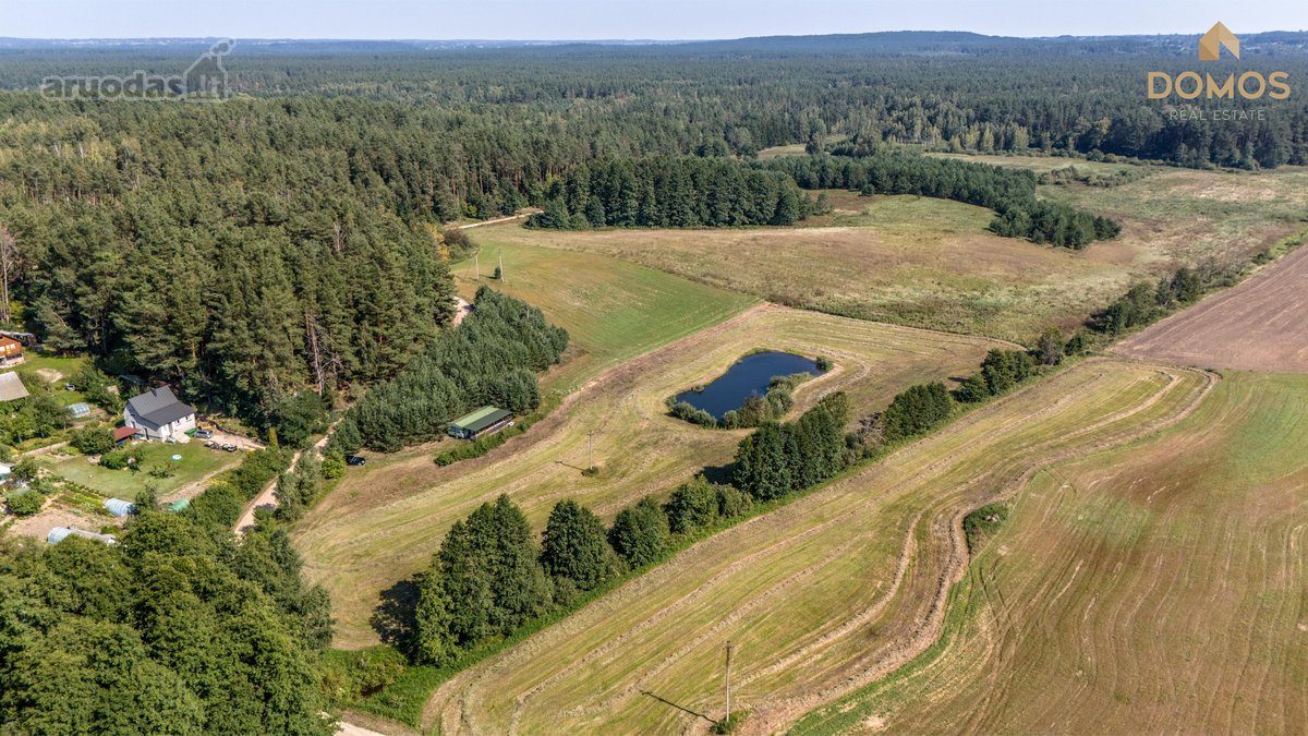 Parduodamas erdvus 7.73 ha ploto sklypas - nuotraukos Nr. 8