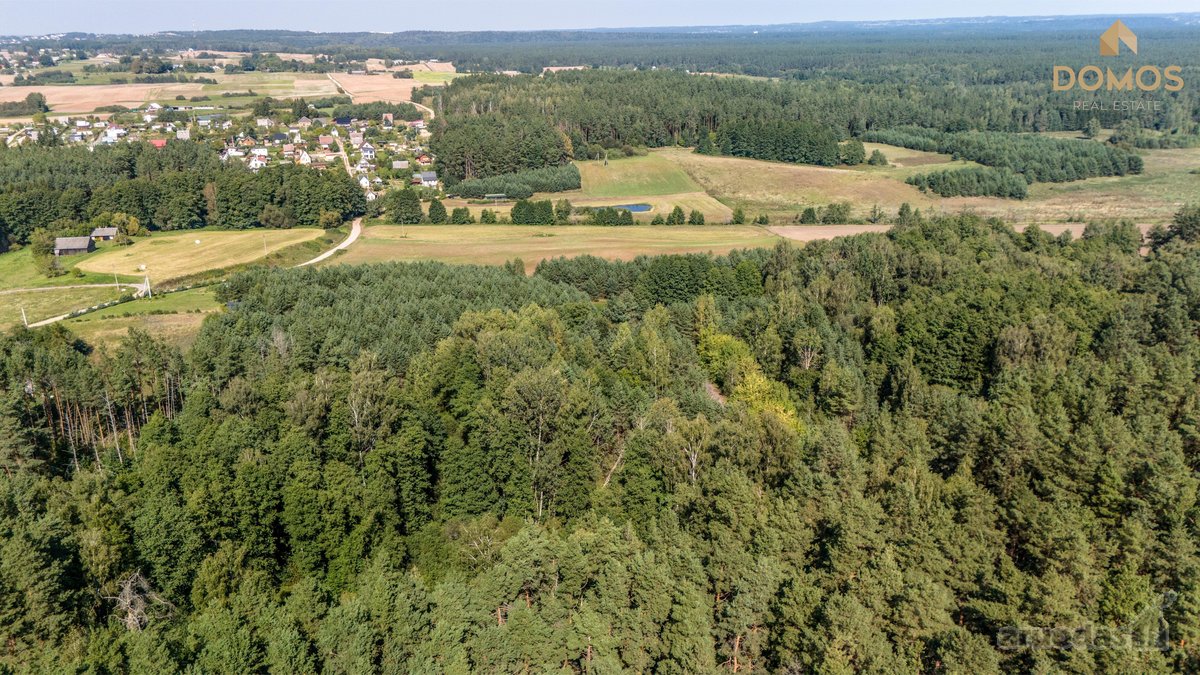 Parduodamas erdvus 7.73 ha ploto sklypas - nuotraukos Nr. 7
