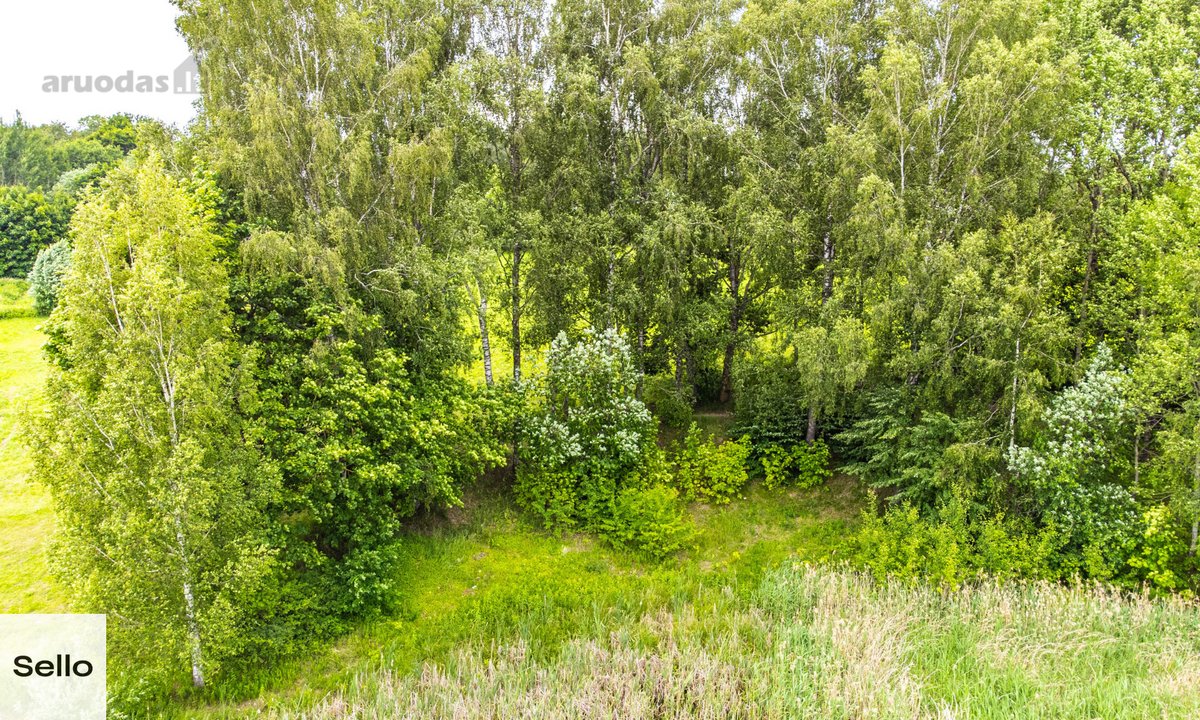  – Nt ekspertai be procentų - nuotraukos Nr. 23