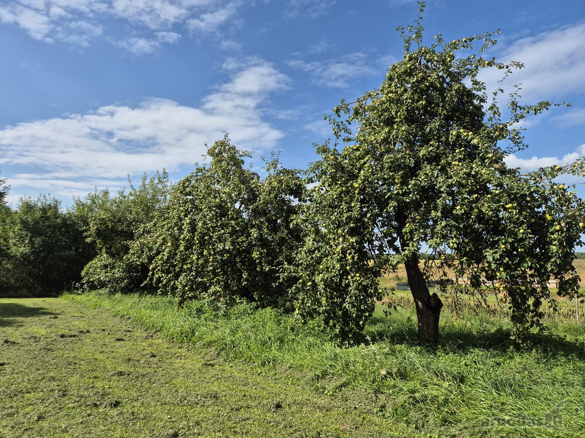 Parduodamas Nuostabus Sklypas Švenčionių - nuotraukos Nr. 2